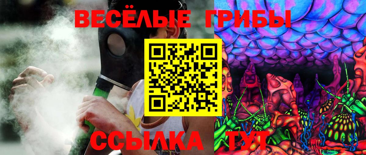 Кимры  Галлюциногенные грибы мицелий  Вход с VPN 